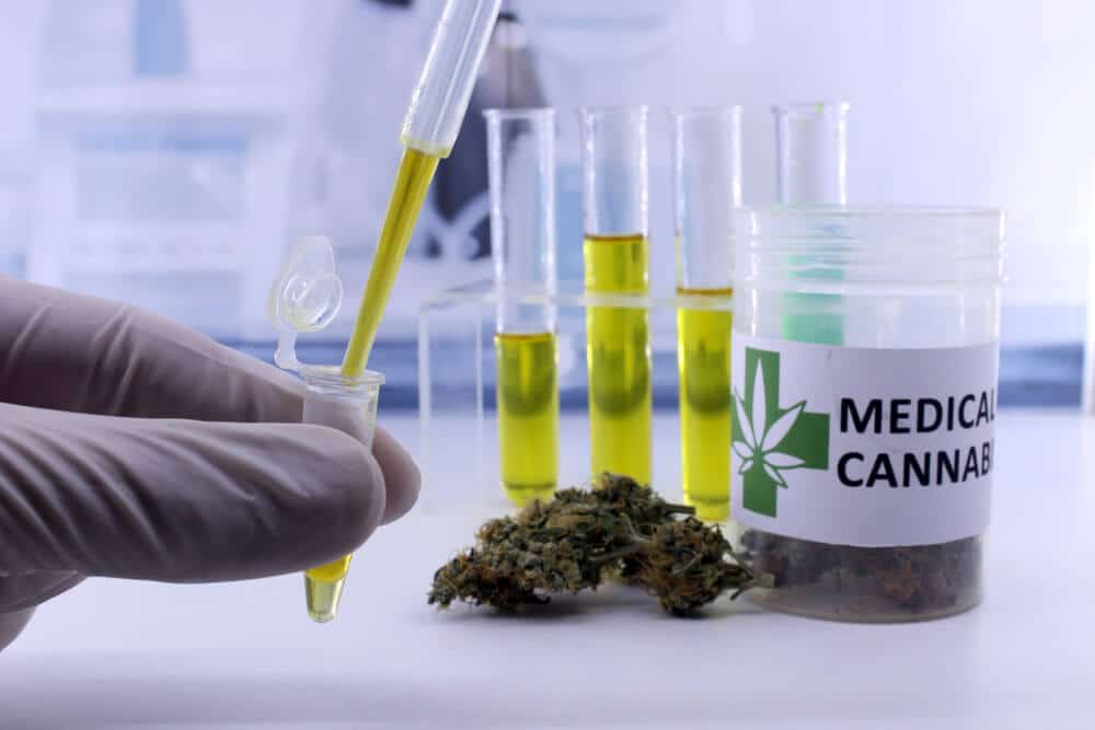 Is Cannabis Legal in Thailand in 2025?