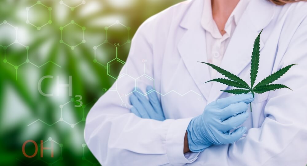Cannabis Use in Thailand in 2025
