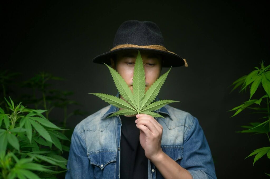 Buying Cannabis Legally in Thailand With a Prescription: A Step-by-Step Guide
