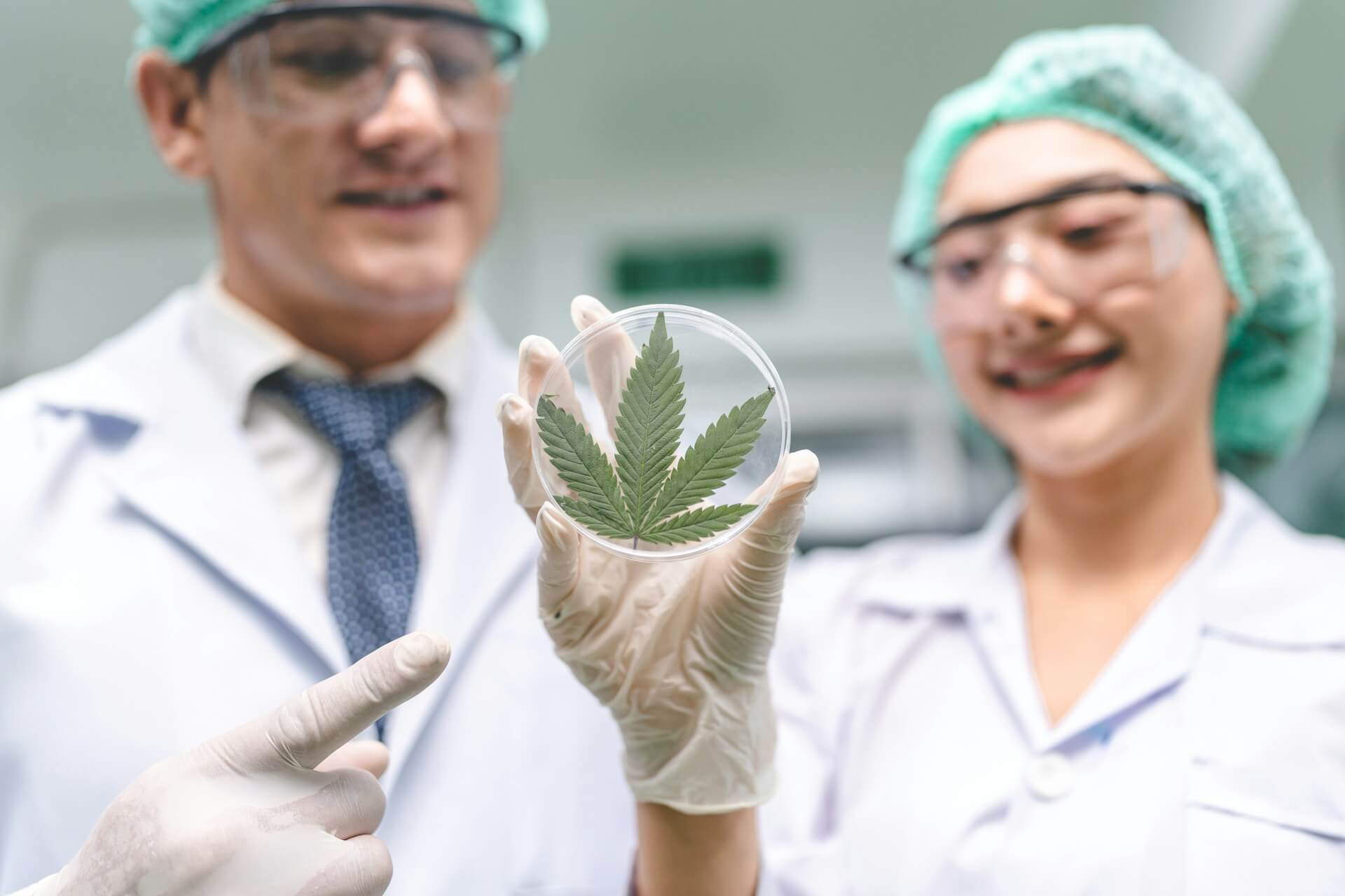 Cannabis Telemedicine in Thailand